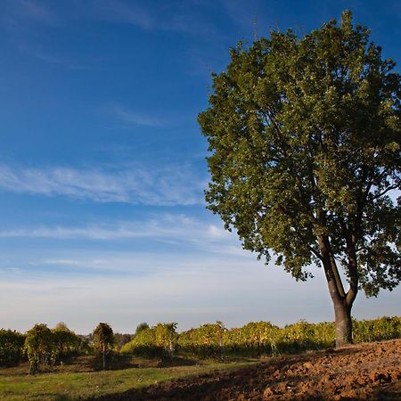 Vila Le Stanze Di Bacco Monteveglio Exteriér fotografie