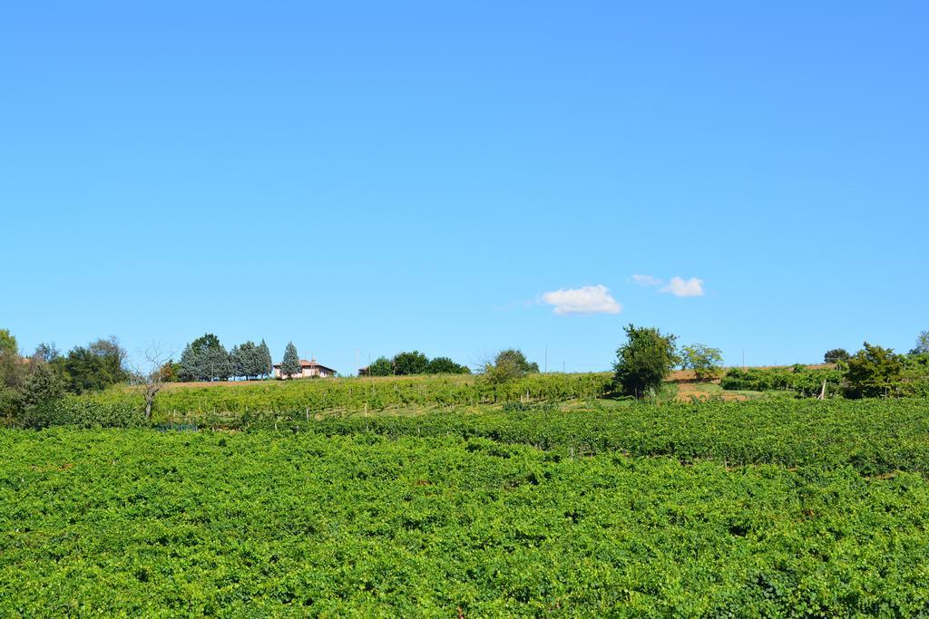 Vila Le Stanze Di Bacco Monteveglio Exteriér fotografie