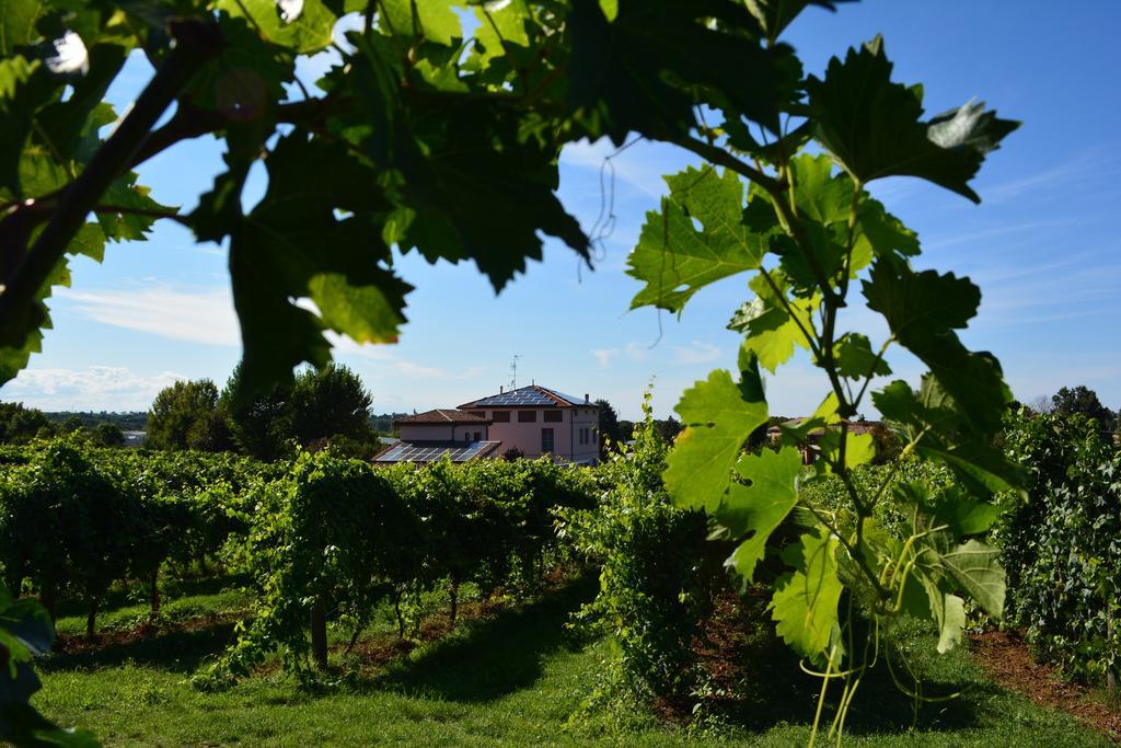 Vila Le Stanze Di Bacco Monteveglio Exteriér fotografie